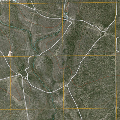 Tequesquite Creek NE, TX (2010, 24000-Scale) Preview 2