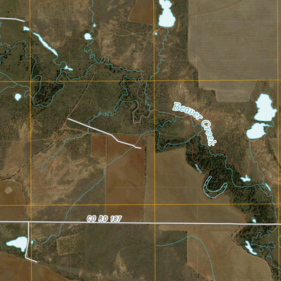 Thalia, TX (2010, 24000-Scale) Preview 2