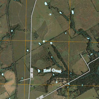 Thornton, TX (2010, 24000-Scale) Preview 2