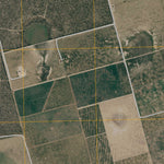 Three Bluff Draw NW, TX (2010, 24000-Scale) Preview 2