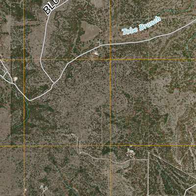 Tobe Branch, TX (2010, 24000-Scale) Preview 2