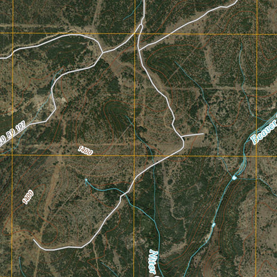 Tow, TX (2010, 24000-Scale) Preview 3