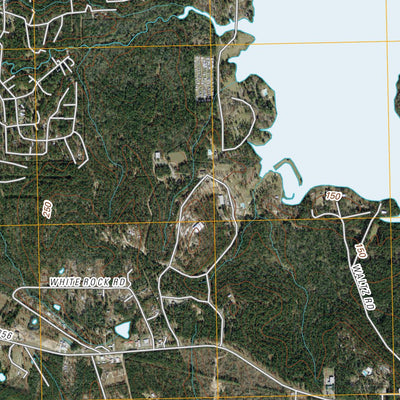 Trinity East, TX (2010, 24000-Scale) Preview 2