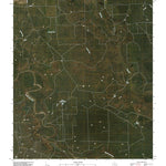 Twomile Creek, TX (2010, 24000-Scale) Preview 1