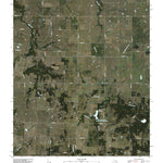 Vashti, TX (2010, 24000-Scale) Preview 1