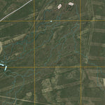 Velenzuela Creek, TX (2010, 24000-Scale) Preview 2