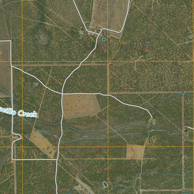 Venado Creek West, TX (2010, 24000-Scale) Preview 3