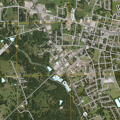 West Columbia, TX (2010, 24000-Scale) Preview 3