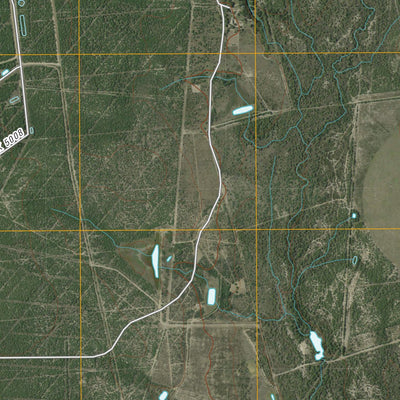 Woodard Lake, TX (2010, 24000-Scale) Preview 3