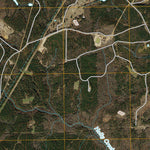 Woodlawn, TX (2010, 24000-Scale) Preview 3