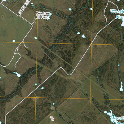 Wortham, TX (2010, 24000-Scale) Preview 2
