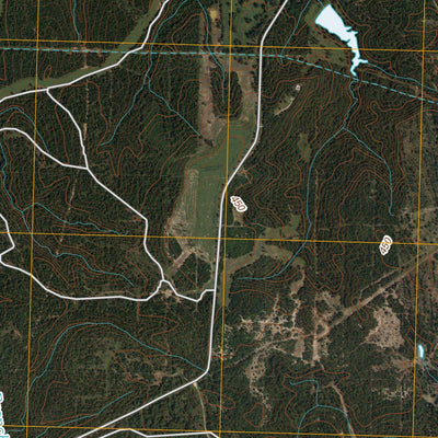 Young, TX (2010, 24000-Scale) Preview 3