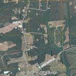 Dabneys, VA (2010, 24000-Scale) Preview 2