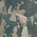 King William, VA (2010, 24000-Scale) Preview 2