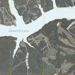 Leesville, VA (2010, 24000-Scale) Preview 2