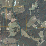 Pamplin, VA (2010, 24000-Scale) Preview 2