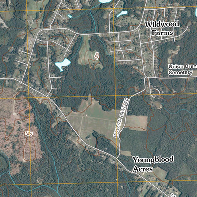 Prince George, VA (2010, 24000-Scale) Preview 3