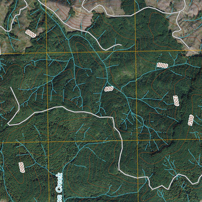 Anderson Creek, WA (2011, 24000-Scale) Preview 2