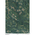 Ashford, WA (2011, 24000-Scale) Preview 1