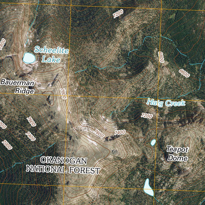 Bauerman Ridge, WA (2011, 24000-Scale) Preview 3