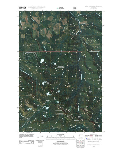 Bearhead Mountain, WA (2011, 24000-Scale) Preview 1