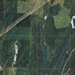 Belfair, WA (2011, 24000-Scale) Preview 2