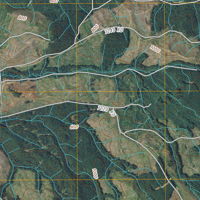 Blaney Creek, WA (2011, 24000-Scale) Preview 2