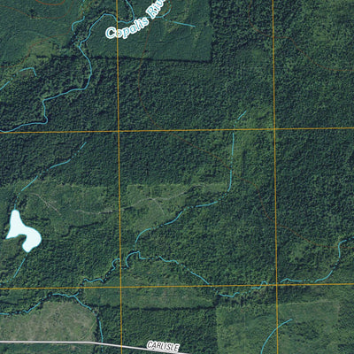Carlisle, WA (2011, 24000-Scale) Preview 2