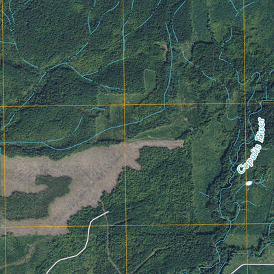 Carlisle, WA (2011, 24000-Scale) Preview 3