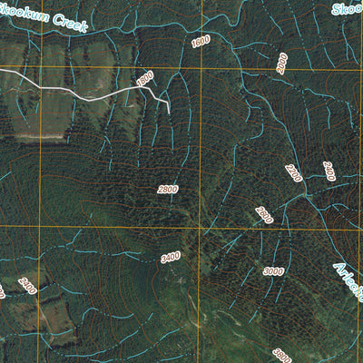Cavanaugh Creek, WA (2011, 24000-Scale) Preview 2