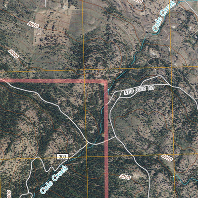 Cayuse Mountain, WA (2011, 24000-Scale) Preview 3