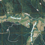 Cedarville, WA (2011, 24000-Scale) Preview 2