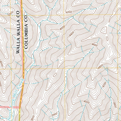 Deadman Peak, WA-OR (2011, 24000-Scale) Preview 3