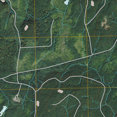 Dickey Lake, WA (2011, 24000-Scale) Preview 2