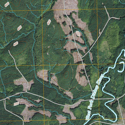 Dickey Lake, WA (2011, 24000-Scale) Preview 3