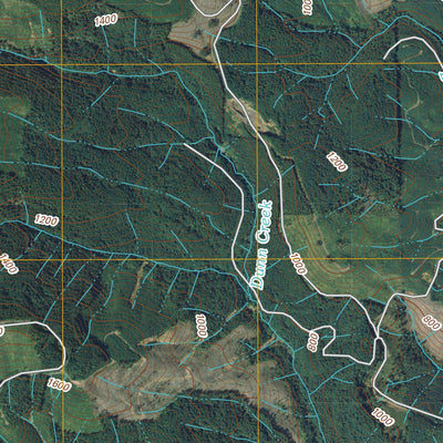 Doty, WA (2011, 24000-Scale) Preview 3