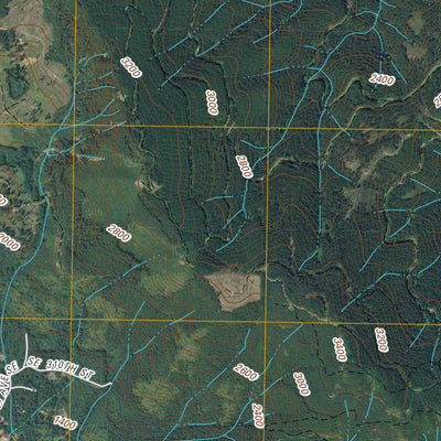 Eagle Gorge, WA (2011, 24000-Scale) Preview 3