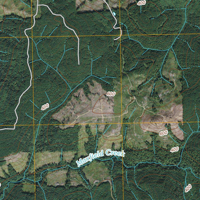 Forks, WA (2011, 24000-Scale) Preview 3