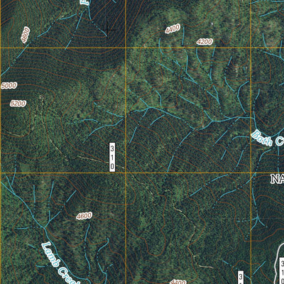 Gleason Mountain, WA-ID (2011, 24000-Scale) Preview 3
