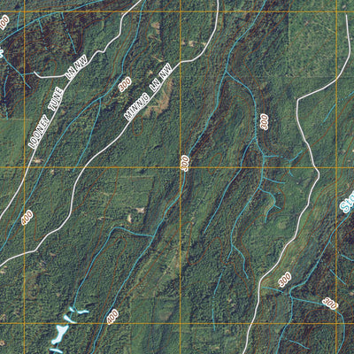Holly, WA (2011, 24000-Scale) Preview 3