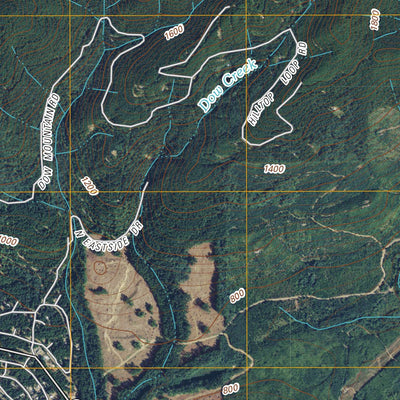 Hoodsport, WA (2011, 24000-Scale) Preview 2