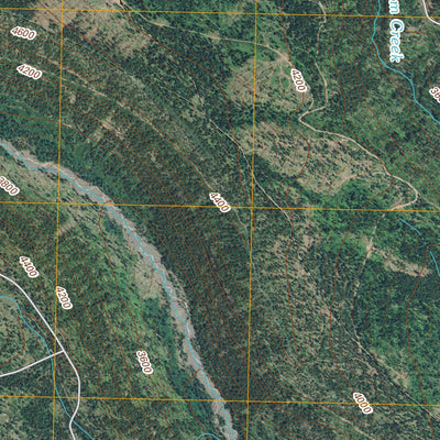 Jungle Butte, WA (2011, 24000-Scale) Preview 3