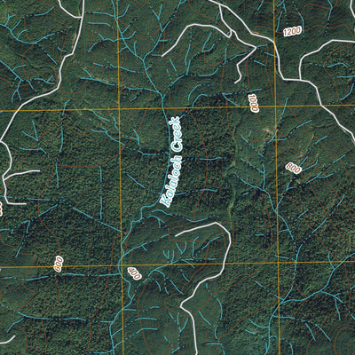 Kalaloch Ridge, WA (2011, 24000-Scale) Preview 2