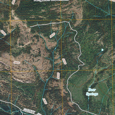 La Fleur Lake, WA (2011, 24000-Scale) Preview 3