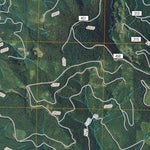 Lester, WA (2011, 24000-Scale) Preview 3