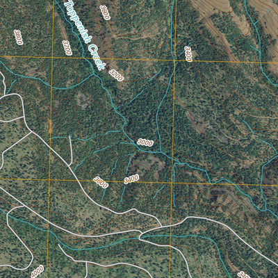 Lost Horse Plateau, WA (2011, 24000-Scale) Preview 3