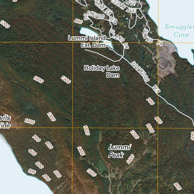 Lummi Island, WA (2011, 24000-Scale) Preview 3