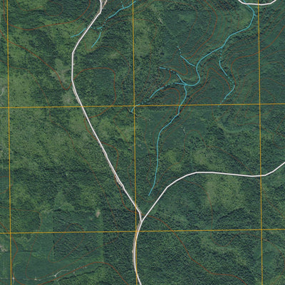 Macafee Hill, WA (2011, 24000-Scale) Preview 3