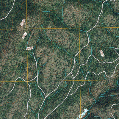 Mccoy Lake, WA (2011, 24000-Scale) Preview 3