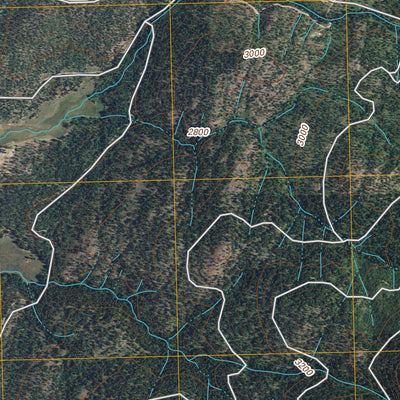 Nespelem NE, WA (2011, 24000-Scale) Preview 2